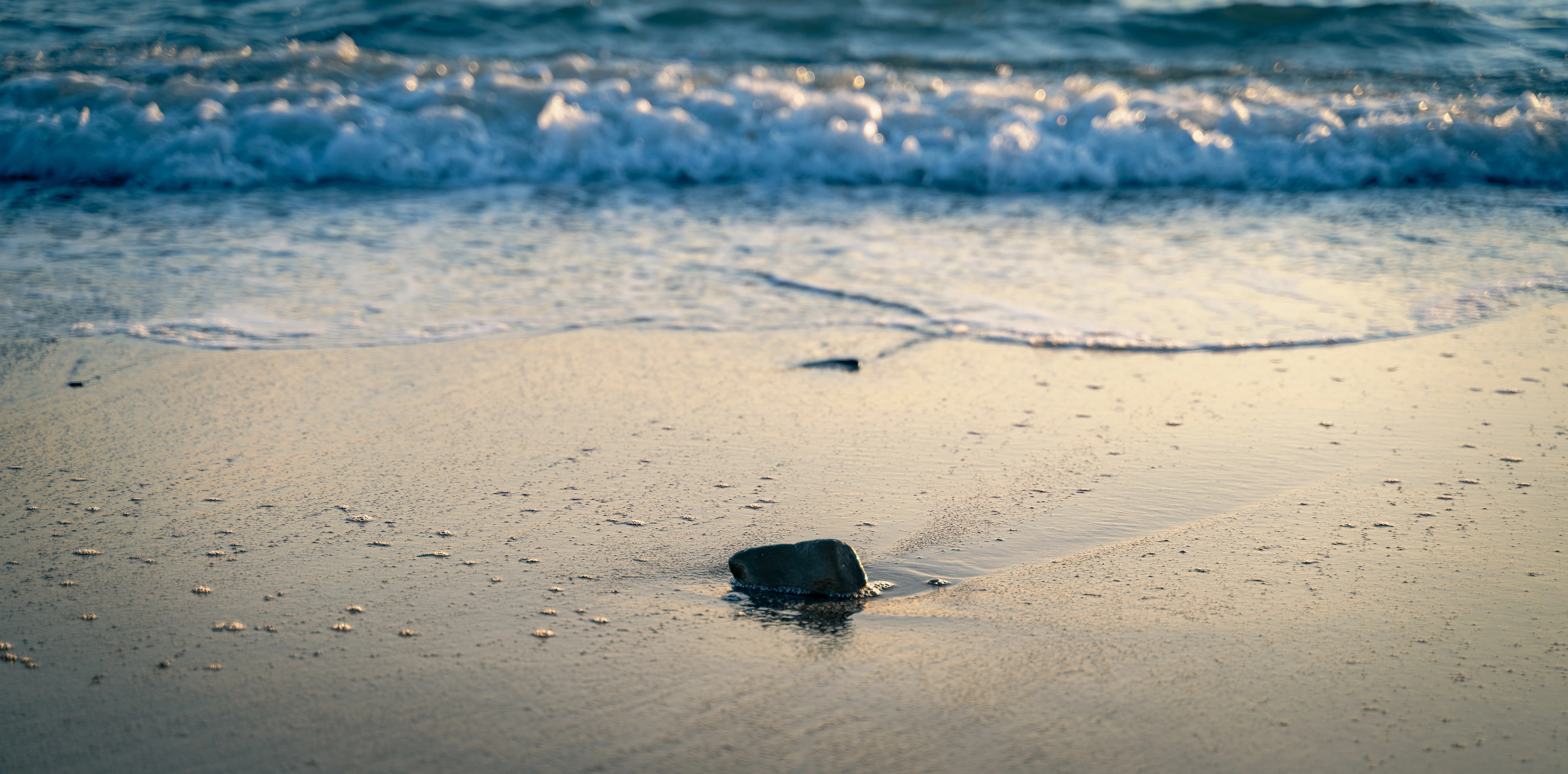 Tranquil Shoreline with Gentle Waves at Dusk